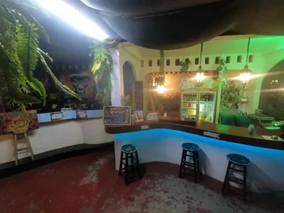 MoovInn Garden Guesthouse – Photos 4